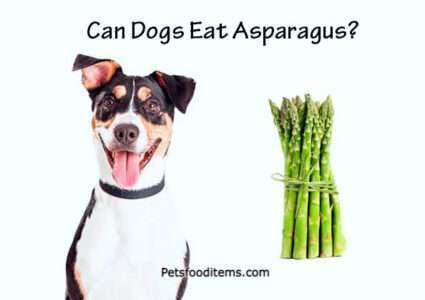 Can Dogs Eat Asparagus