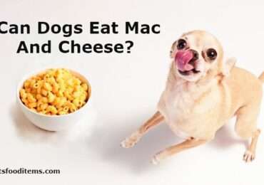 Can Dogs Eat Mac And Cheese?
