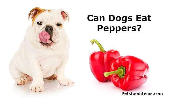 Can Dogs Eat Peppers