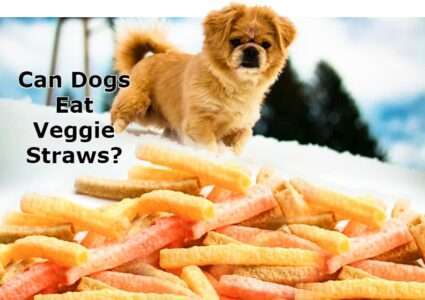 Can dogs eat veggie straws?