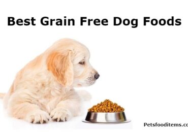 Best Grain Free Dog Foods