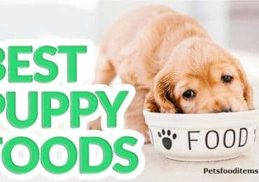 Best Puppy Food
