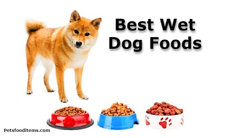 Best Wet Dog Foods