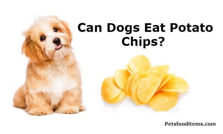 Can Dogs Eat Potato Chips?