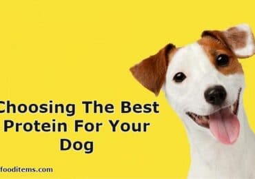 Choosing The Best Protein For Your Dog