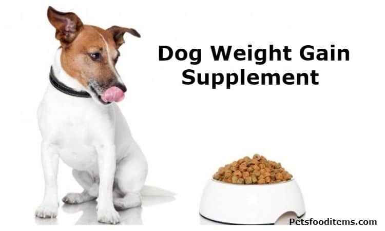 Dog Weight Gain Supplement