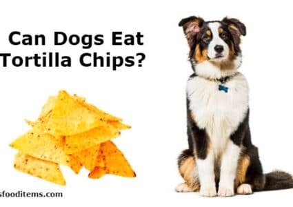 Can Dogs Eat Tortilla Chips?