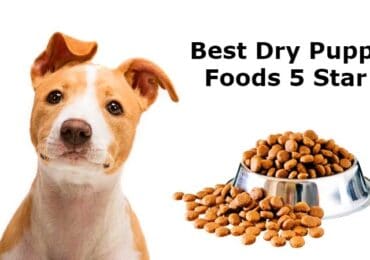 Best Dry Puppy Foods 5 Star