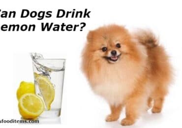 Can Dogs Drink Lemon Water